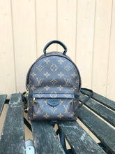 Load image into Gallery viewer, LOUIS VUITTON Monogram Palm Springs Mini Backpack