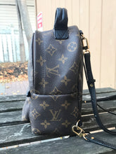 Load image into Gallery viewer, LOUIS VUITTON Monogram Palm Springs Mini Backpack
