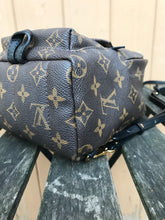 Load image into Gallery viewer, LOUIS VUITTON Monogram Palm Springs Mini Backpack