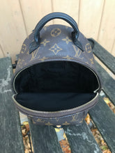 Load image into Gallery viewer, LOUIS VUITTON Monogram Palm Springs Mini Backpack