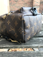 Load image into Gallery viewer, LOUIS VUITTON Monogram Palm Springs Mini Backpack