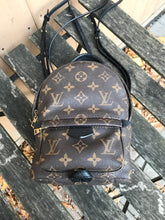 Load image into Gallery viewer, LOUIS VUITTON Monogram Palm Springs Mini Backpack