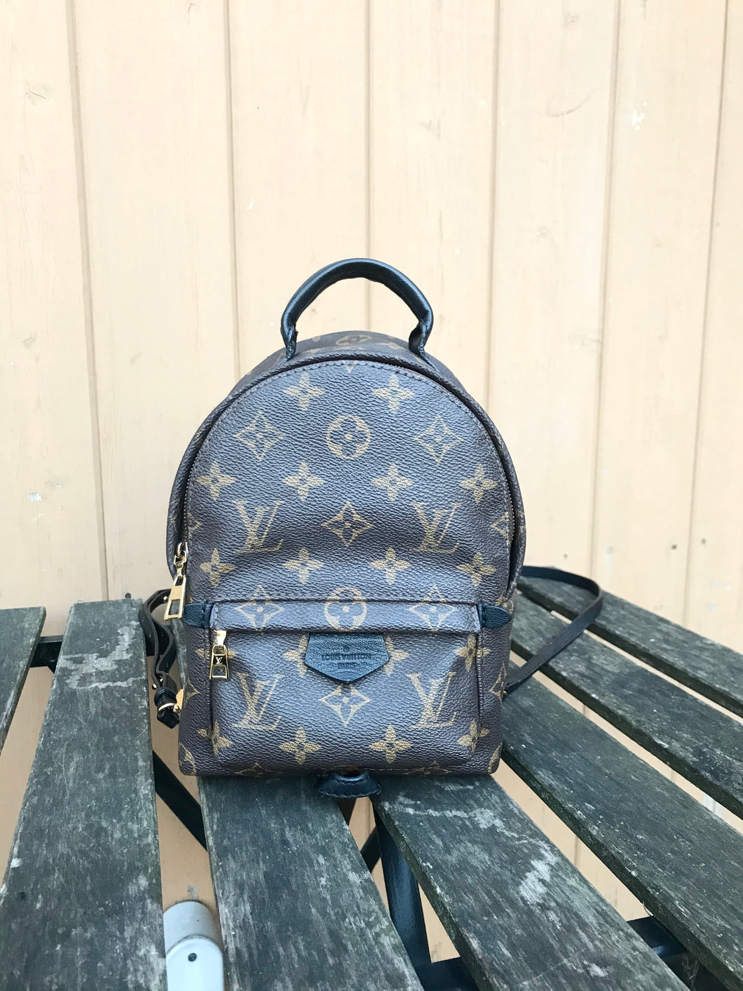 LOUIS VUITTON Monogram Palm Springs Mini Backpack