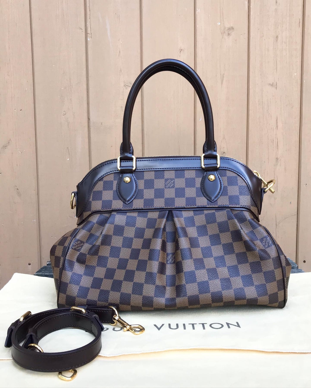 LOUIS VUITTON Damier Canvas Trevi PM Bag