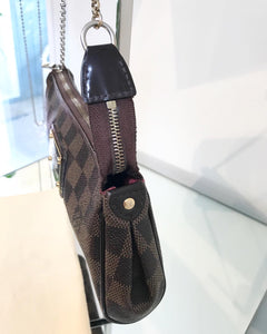 LOUIS VUITTON Brown Damier Ebene Eva Pochette