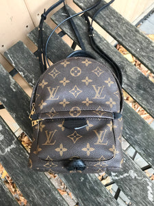LOUIS VUITTON Monogram Palm Springs Mini Backpack